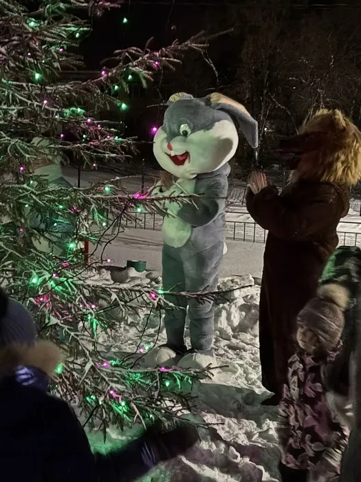 photo_2025-12-29_08-47-44