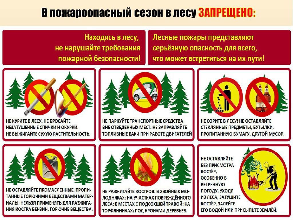 Пожары- В лесу запрещено